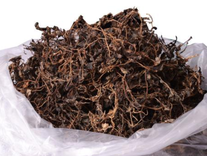 脫水馬齒莧 AD Purslane 脫水馬齒莧 AD Purslane